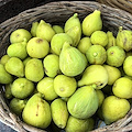 Fico, dolce alleato naturale contro stitichezza e affaticamento