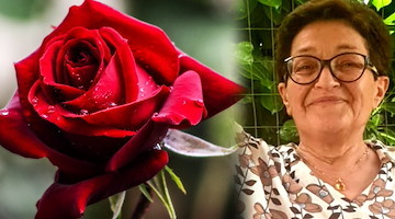 Maiori saluta la Maestra Alfonsina Di Cosmo, educatrice amata a Scala