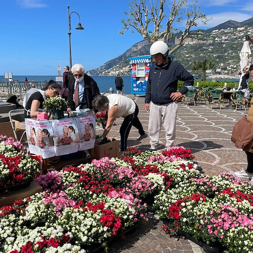 Festa della Mamma in Costa d'Amalfi, volontari AIRC distribuiscono l’Azalea della Ricerca / ECCO DOVE