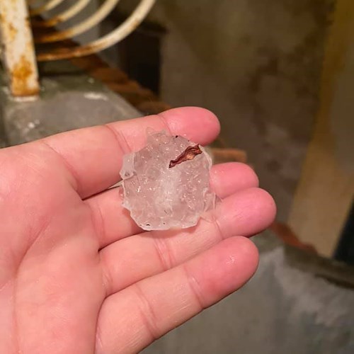 Grandine a Positano e in Costiera Amalfitana, danneggiate coltivazioni di Limoni /foto