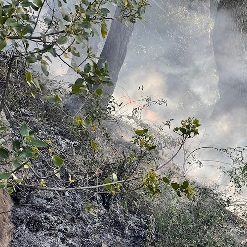 Incendio non ancora domato a Maiori, alta colonna di fumo sul territorio / FOTO