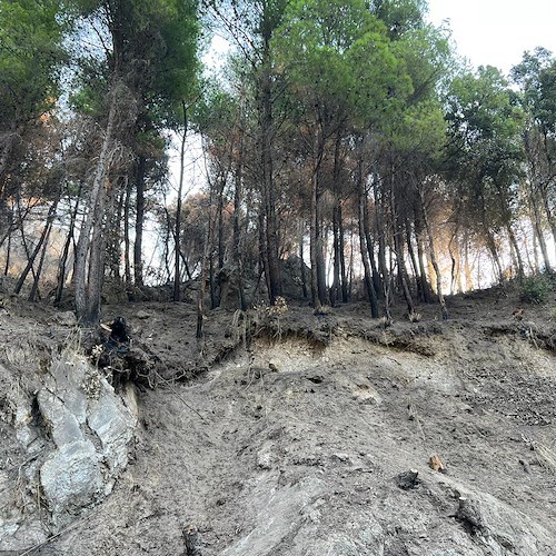 Maiori, incendio Pineta Capo d'Orso<br />&copy; Massimiliano D'Uva