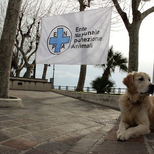 Maiori, 19 marzo ENPA Costa d’Amalfi organizza pesca di beneficenza per gli animali in difficoltà