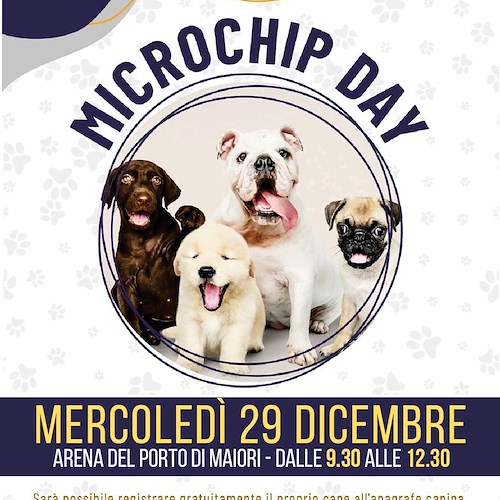 Maiori, 29 dicembre il "Microchip Day" organizzato da ASL Salerno ed ENPA Costa d'Amalfi