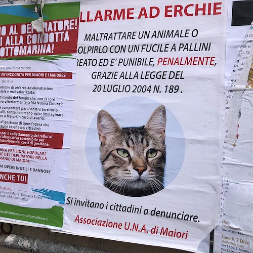 Maiori: pallini contro i gatti randagi ad Erchie, la denuncia dell’Associazione U.N.A 