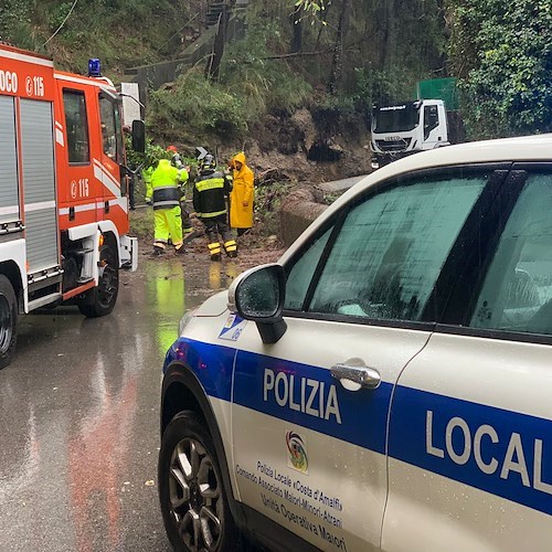 Maltempo in Costa d'Amalfi, a Maiori albero si abbatte sulla Statale all'altezza del cimitero / FOTO 