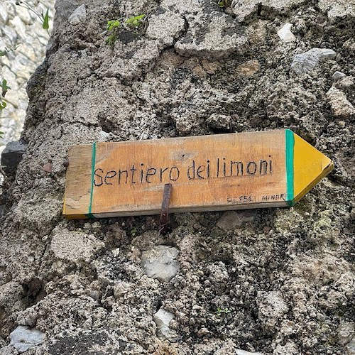 Minori, 4 aprile incontro pubblico sulla promozione del Sentiero dei Limoni 