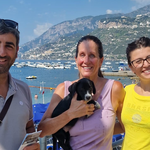 Pinot adottato da turista canadese, ENPA Costa d'Amalfi: «Ha trovato l'amore oltre confine» 
