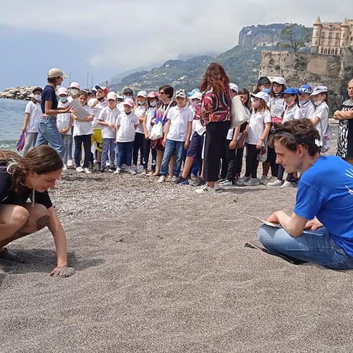Riconoscere nidi di Caretta Caretta, a Maiori giornata di sensibilizzazione con bimbi e stabilimenti balneari 