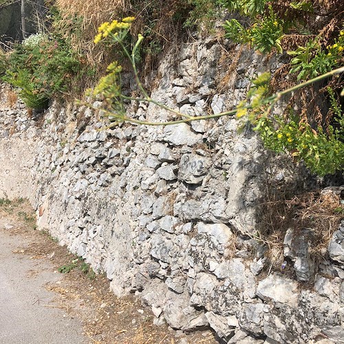 Rifiuti abbandonati sul Sentiero dei limoni, amara scoperta sull'itinerario tra Minori e Maiori / FOTO