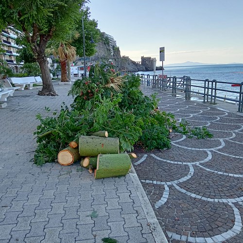 Temporale in Costa d'Amalfi: nella notte allagamenti e rami caduti. Danneggiati stabilimenti a Maiori / FOTO 