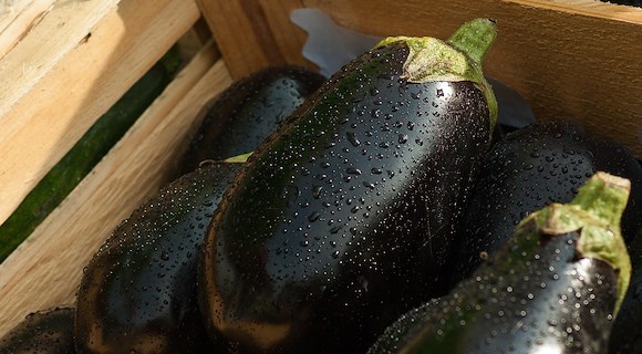 A Maiori torna la festa della Melanzana al Cioccolato: 7 agosto tra teatro e degustazioni tipiche