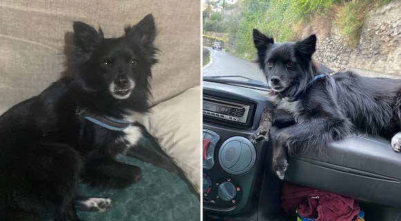 Il saluto commosso a Rudy, il cane che faceva colazione al bar 